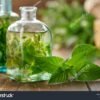 Hortelã - Mentha piperita - Image 3