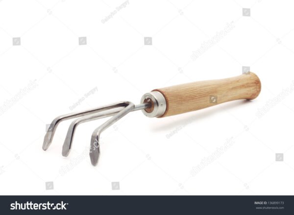 Ancinho - Image 5